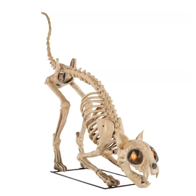 5 ft. Long Grave & Bones LED Skelly's Cat H21