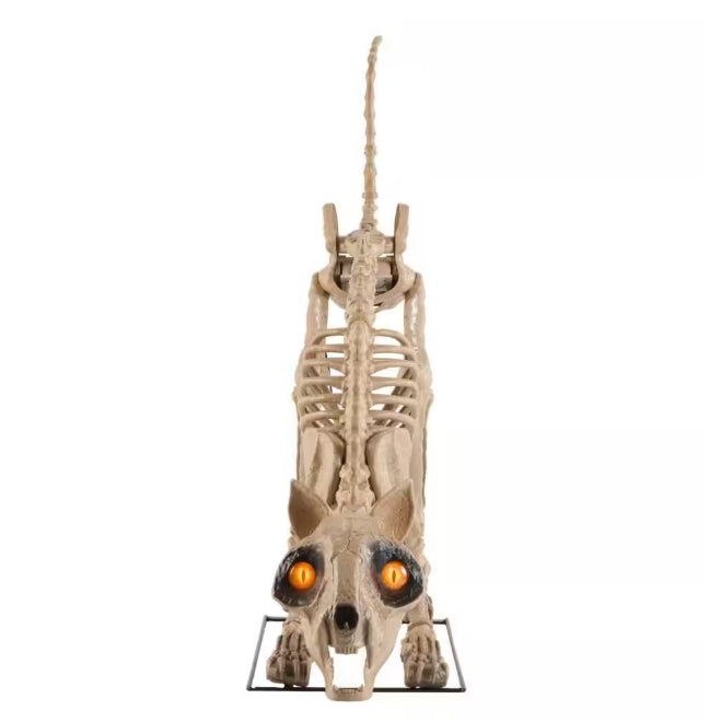 5 ft. Long Grave & Bones LED Skelly's Cat H21