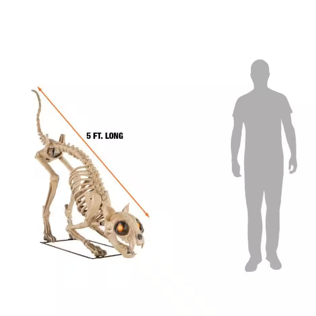 5 ft. Long Grave & Bones LED Skelly's Cat H21