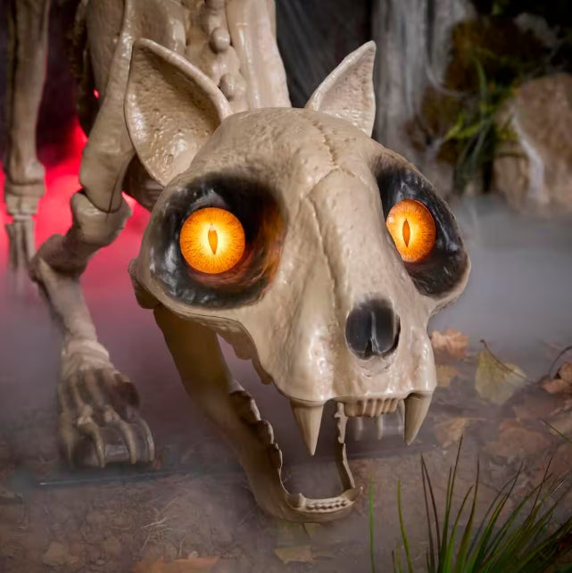 5 ft. Long Grave & Bones LED Skelly's Cat H21